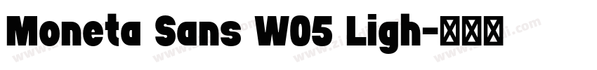 Moneta Sans W05 Ligh字体转换